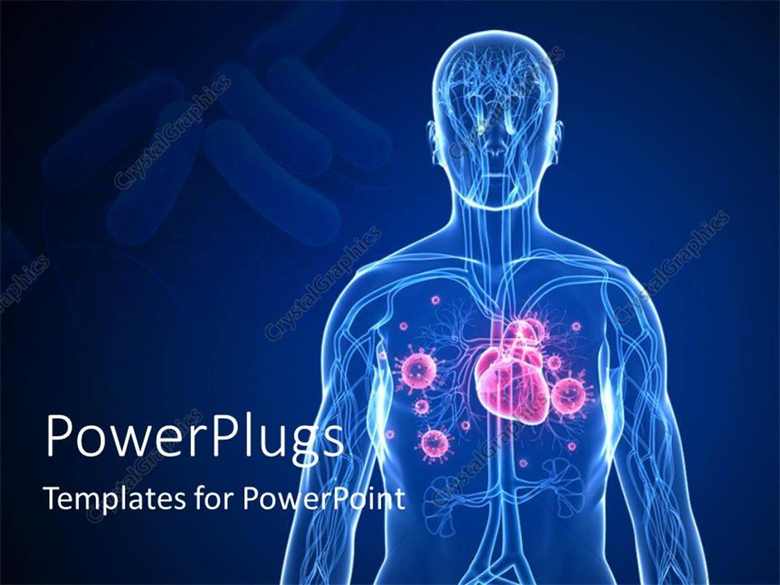 Powerpoint Template 3d Graphics Of A Transparent Human Body Showing The Internal Parts 2743 Infection Powerpoint Template