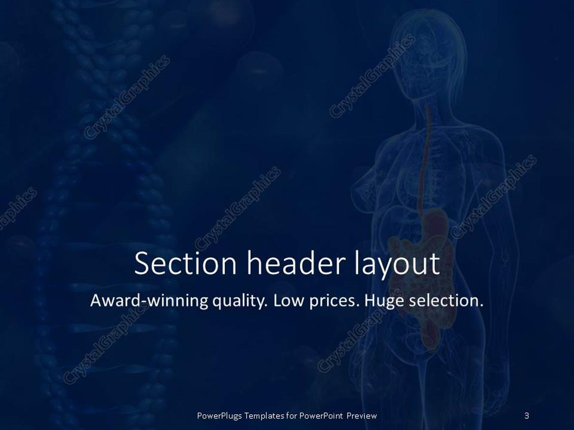 powerpoint templates free anatomy choice image - powerpoint powerpoint templates free anatomy choice image - powerpoint, Powerpoint templates