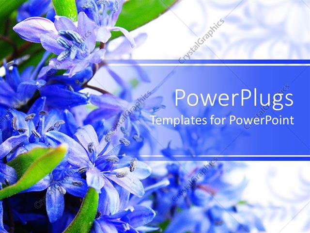 Powerpoint Template: Beautiful Spring Flowers Placed On A Side And