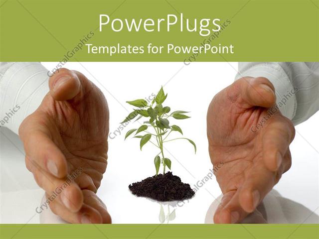 powerpoint template: growing plants garden artificial life labs powerpoint template: growing plants garden artificial life labs, Presentation templates