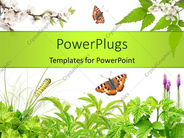 leaves powerpoint template