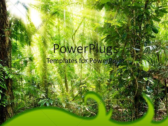 template forest powerpoint template sun filtering through forest tree leaves 12892 template forest powerpoint template sun filtering through forest tree leaves 12892