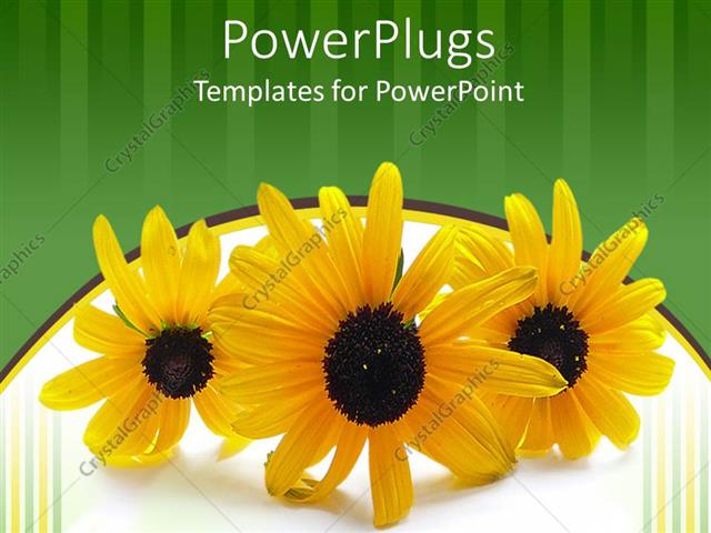 Powerpoint Template Three Yellow Flowers On Green And Flower Powerpoint Templates Flowers Green Yellow