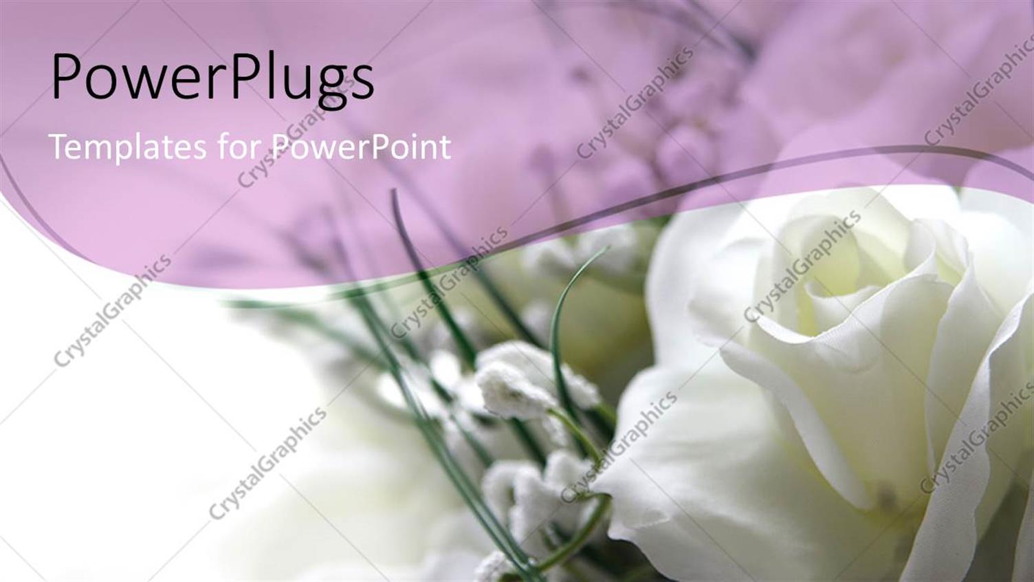 PowerPoint Template: white rose in the corner with white and light PowerPoint Template: white rose in the corner with white and light